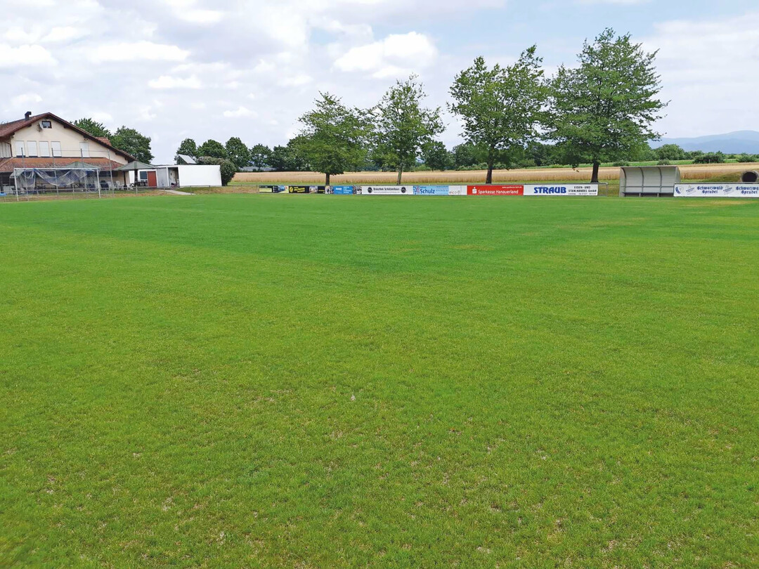 Auch in der Seitenansicht ist das Ergebnis bereits nach einer Woche deutlich erkennbar.