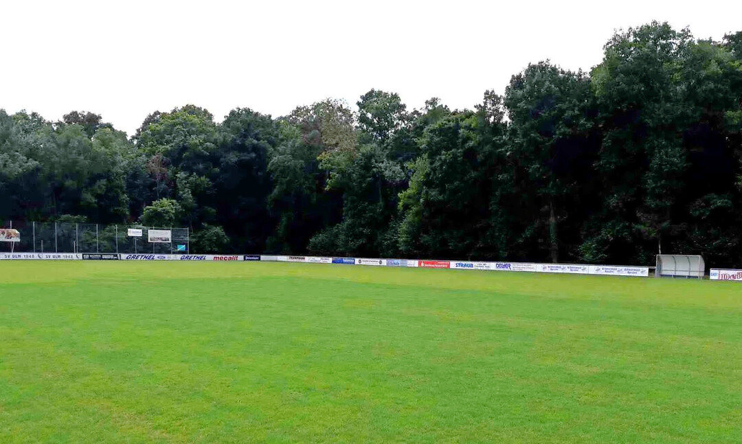 Nach vier Wochen war der Rasen noch intensiver grün.