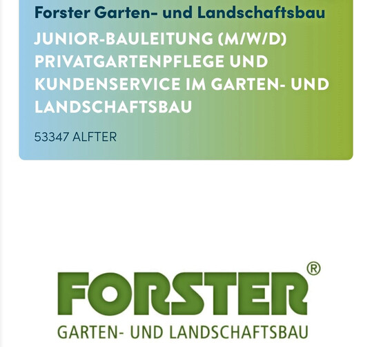 Juniorbauleiter (m/w/d) Pflege