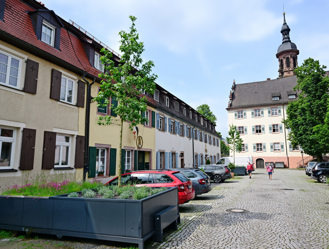 Bäume statt Autos: Die Module sind so groß wie ein SUV, nur grün und klimapositiv.