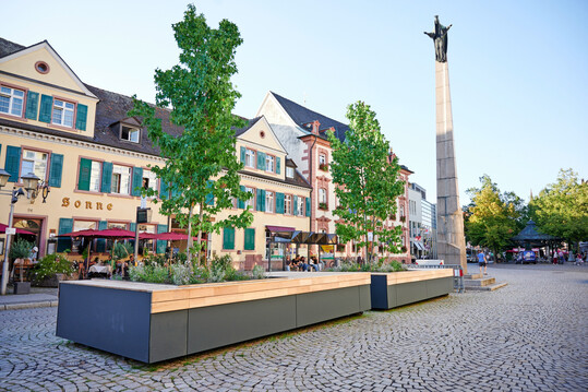 Neben der Ursulasäule in Offenburg sorgten drei Amberbäume für Schatten auf den darunterliegenden Holzpodesten.