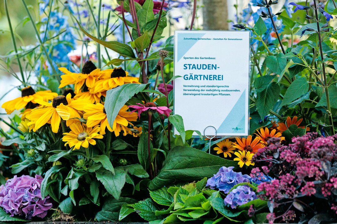 Der „Zukunftstag Gartenschau“ fand am 11. September 2025 im Berliner Umweltforum statt, tatkräftig unterstützt von Gartenbau, Baumschulen und Floristik.