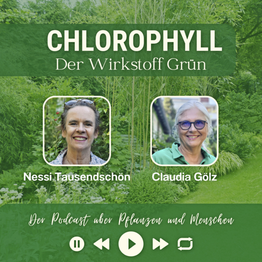 Chlorophyll