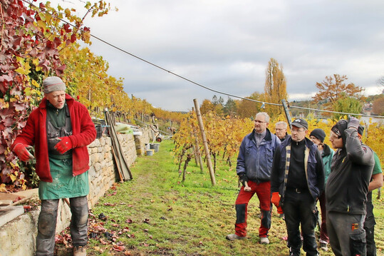 Martin Bcheler steht fr Qualitt beim Trockenmauerbau
