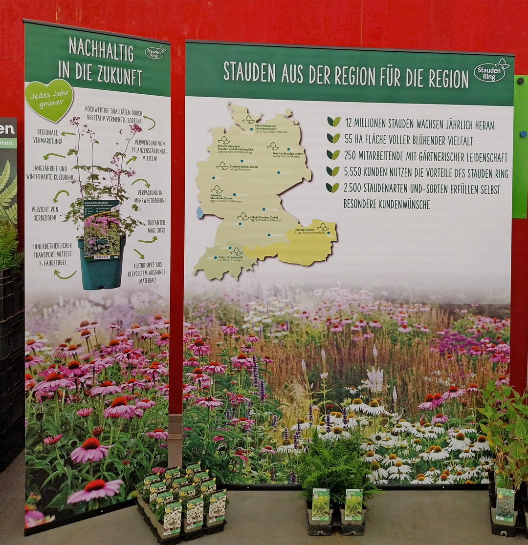 Vorstellung des Stauden Rings