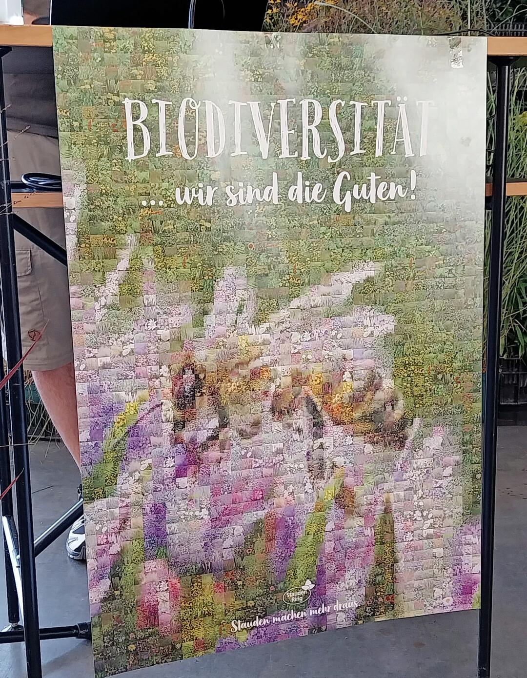 Collageposter aus Einzelfotos von Stauden