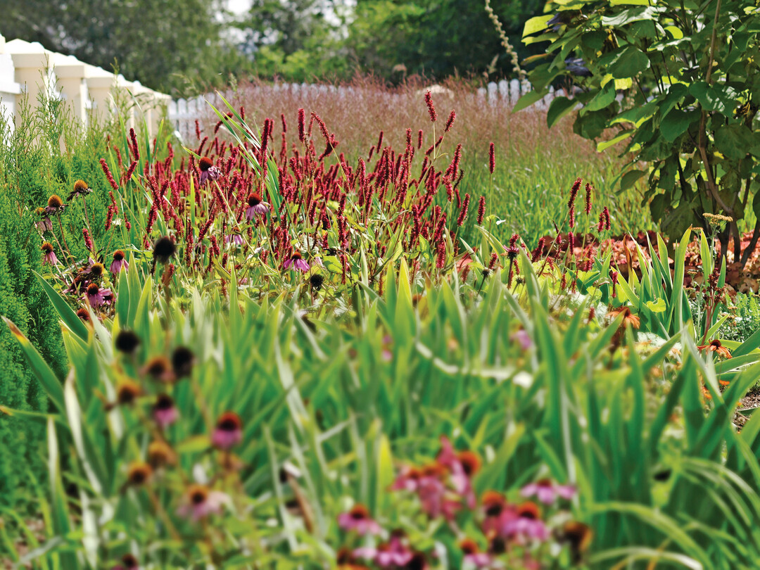 Staudenreiche Gärten sind ein Markenzeichen von Kugler und Trinkl.