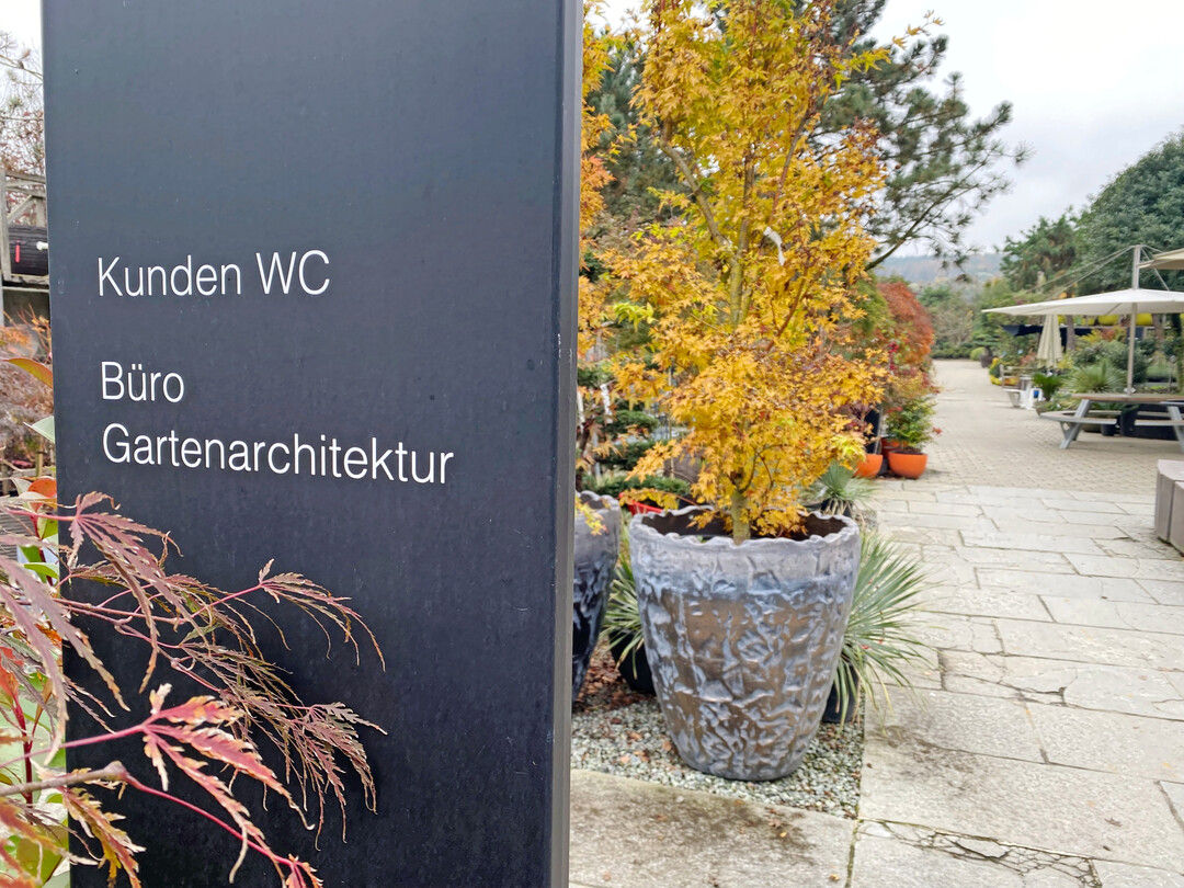 In der die Pflanzen gleichzeitig attraktiv prsentiert werden.