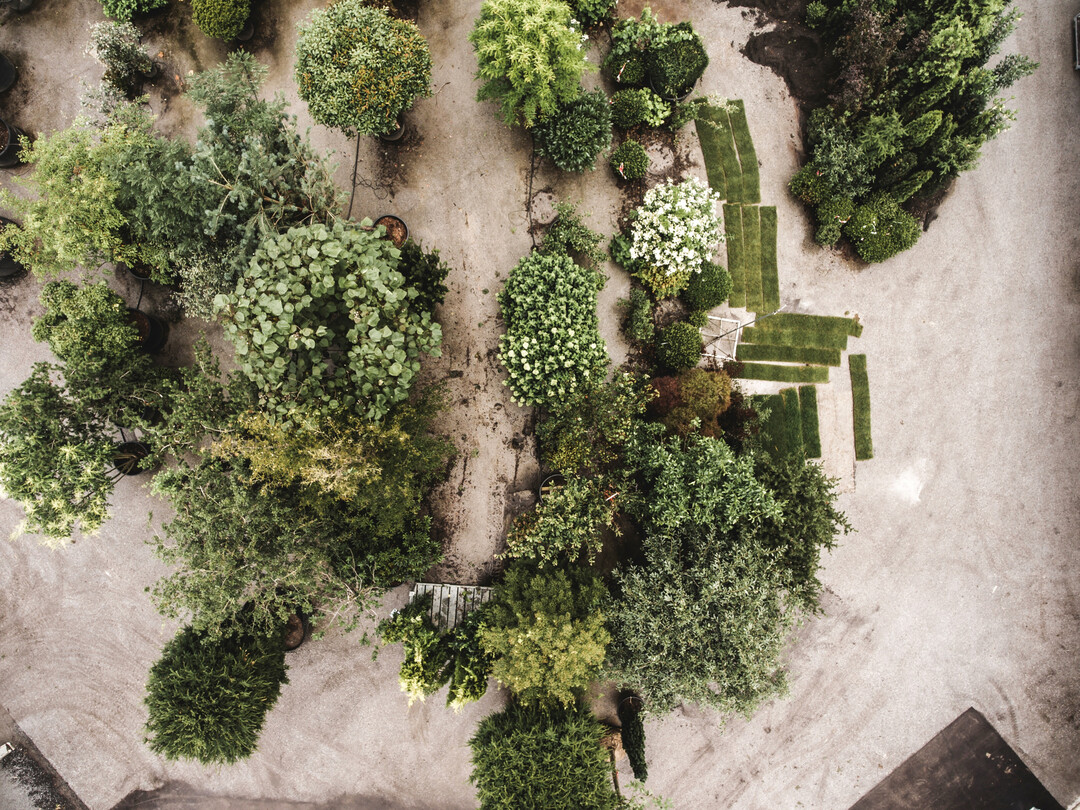 Eine groe Auswahl an Pflanzen ist ab Hof immer verfgbar.
