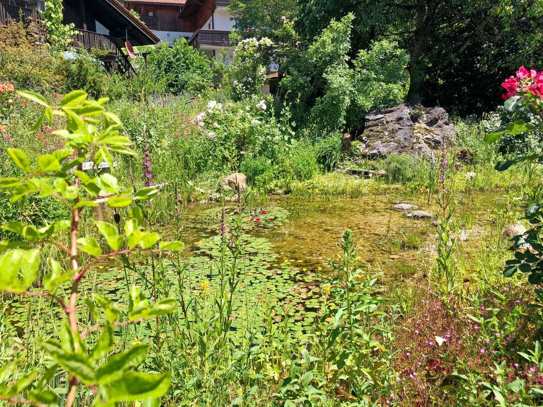 Ist das ein Garten oder ist das Natur? Eine Wasserflche ist extrem lebendig und pflegearm. Die Nachhaltigkeit hngt auch von der Wahl des Abdichtungsmaterials ab.