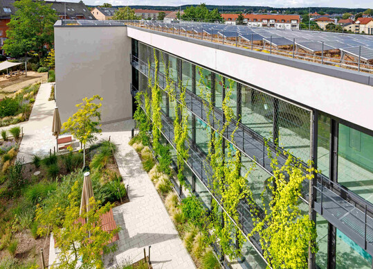 Der Kindergarten „Pieschner Kinderinsel“ in Dresden wurde zur „BuGG-Gesamtbegrünung des Jahres 2025“ gewählt.