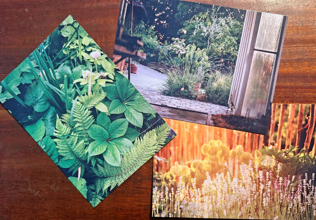 Die Postkarten als Marketinginstrument zeigen Eindrücke aus Wildflorie-Projekten.