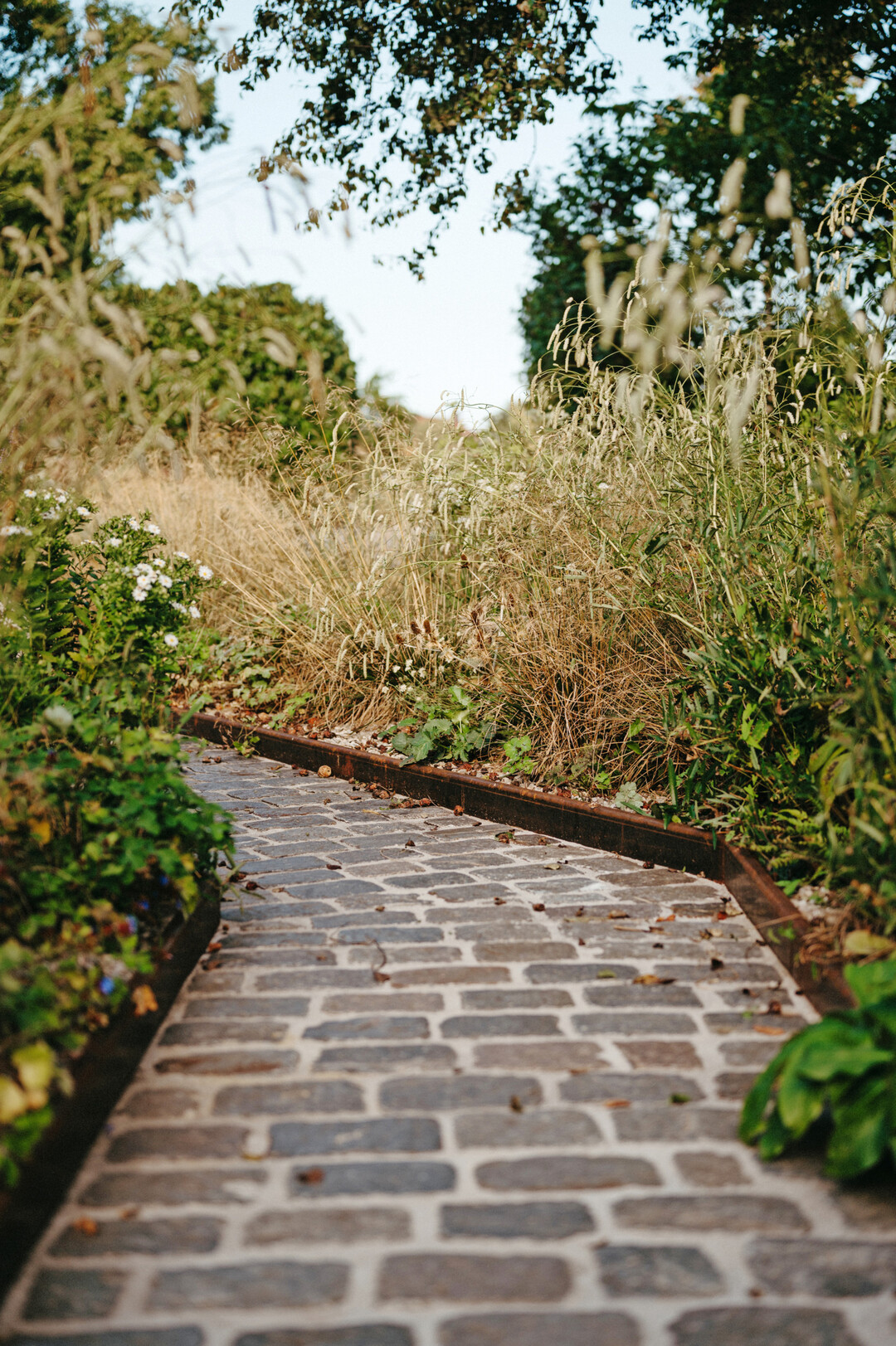 Projekt für die Gärten des Jahres 2025 – Details
