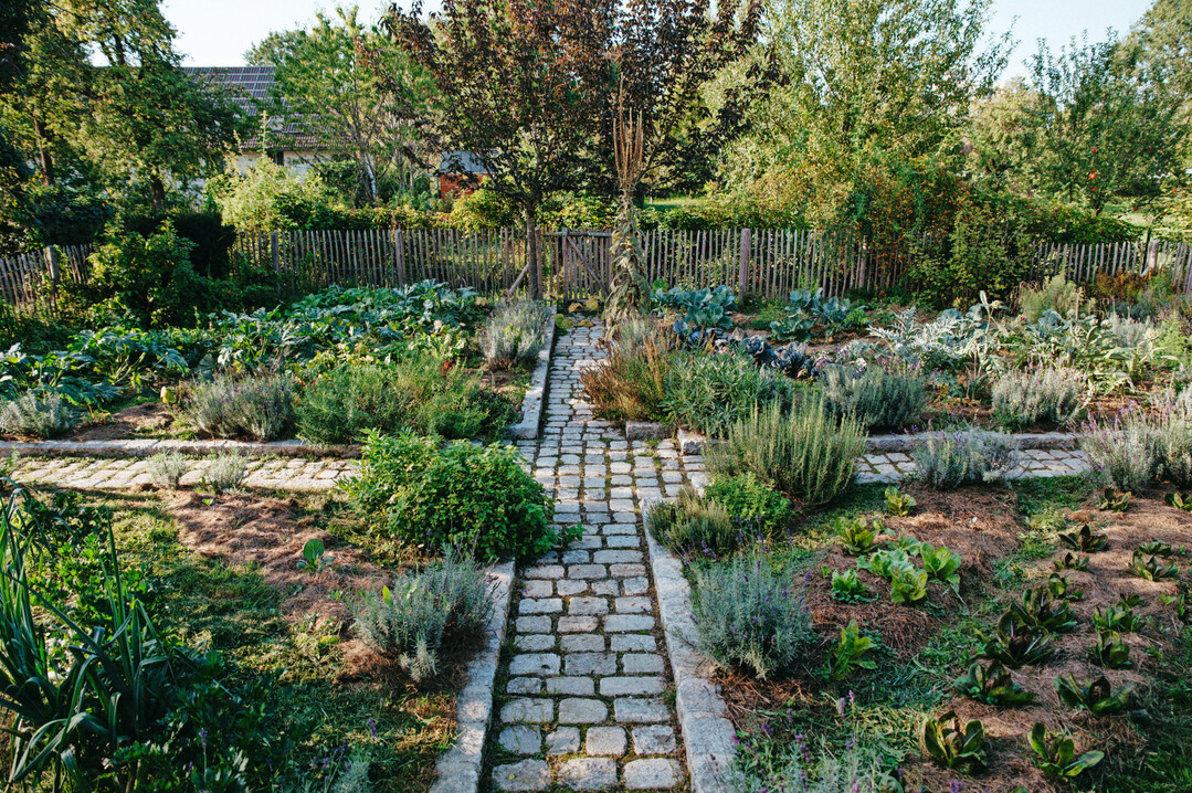Kreuzgarten-Aufteilung im Gemüsegarten