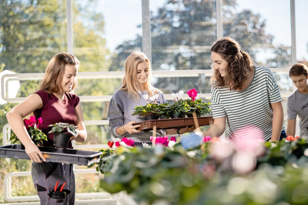 Photo by Klaus Ranger Fotografie (www.klausranger.at)