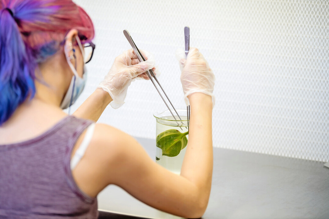 In den Labors werden im Zuge des Unterrichts Versuche durchgeführt.