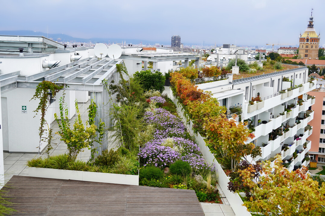 Die Biotope City Wienerberg zeigt, wie man dichte Bebauung und wirkungsvolle Begr�nung verbinden kann. So entstehen neue Auftr�ge f�r den GaLaBau.