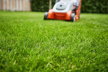 Die Basis fr gesunden Rasen kann man im Herbst legen.