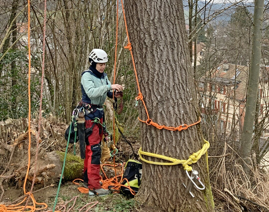 Baumspezialistin Barbara Willi hat sich zur Fachperson Biodiversitt weitergebildet.