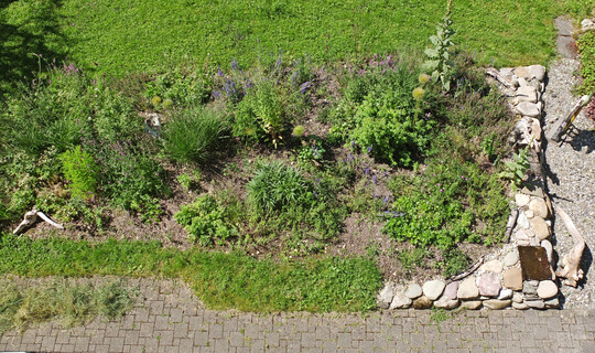 Verwandlung eines Gartens von konventionell zu naturnah - das war die Abschlussarbeit von Barbara Willi. Das Staudenbeet war ein Bestandteil des Gesamtprojekts.