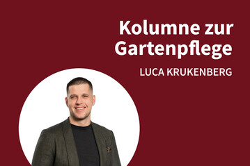 Luca Krukenberg