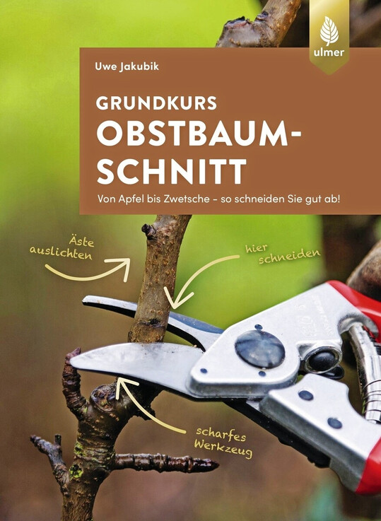Obstbaumschnitt