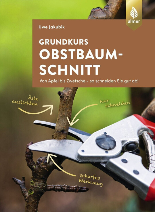 Obstbaumschnitt