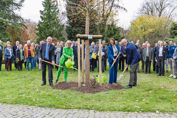 V. l.: Karl Werring (Präsident der Landwirtschaftskammer NRW), Eva Kähler-Theuerkauf (Präsidentin des Zentralverbands Gartenbau), Nicole Hörnemann (Schulleiterin der Fachschule für Gartenbau Essen) und Josef Mennigmann (Präsident des Verbandes Garten-, Landschafts- und Sportplatzbau NRW) verpflanzten feierlich eine Chinesische Linde (Tilia henryana) zum 75-jährigen Bestehen der Fachschule für Gartenbau Essen.