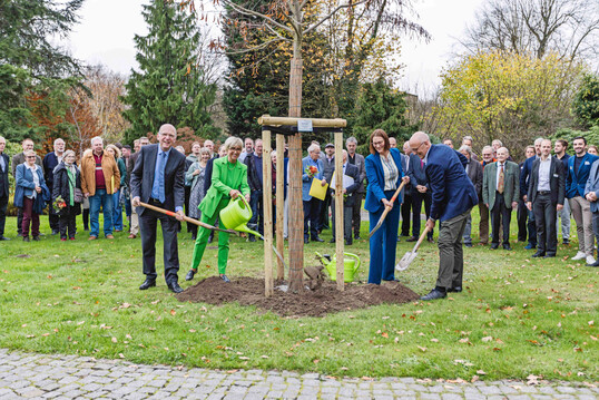 V. l.: Karl Werring (Präsident der Landwirtschaftskammer NRW), Eva Kähler-Theuerkauf (Präsidentin des Zentralverbands Gartenbau), Nicole Hörnemann (Schulleiterin der Fachschule für Gartenbau Essen) und Josef Mennigmann (Präsident des Verbandes Garten-, Landschafts- und Sportplatzbau NRW) verpflanzten feierlich eine Chinesische Linde (Tilia henryana) zum 75-jährigen Bestehen der Fachschule für Gartenbau Essen.