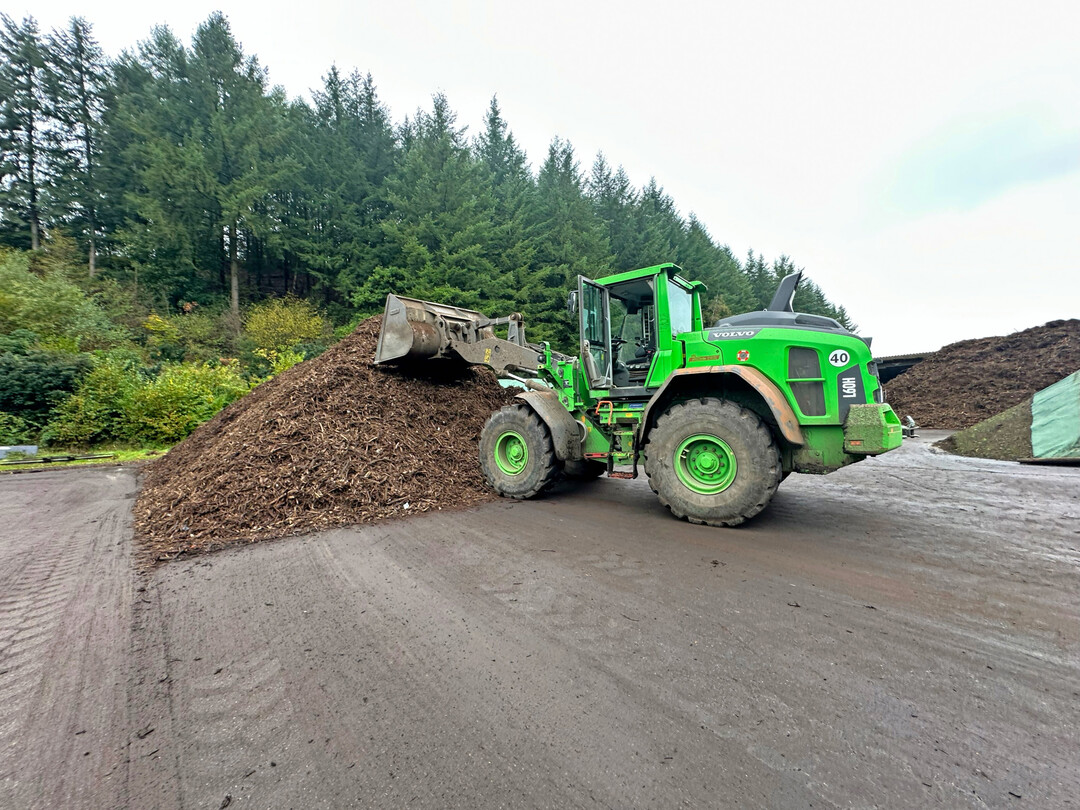 Die Mieten werden regelm��ig umgesetzt.