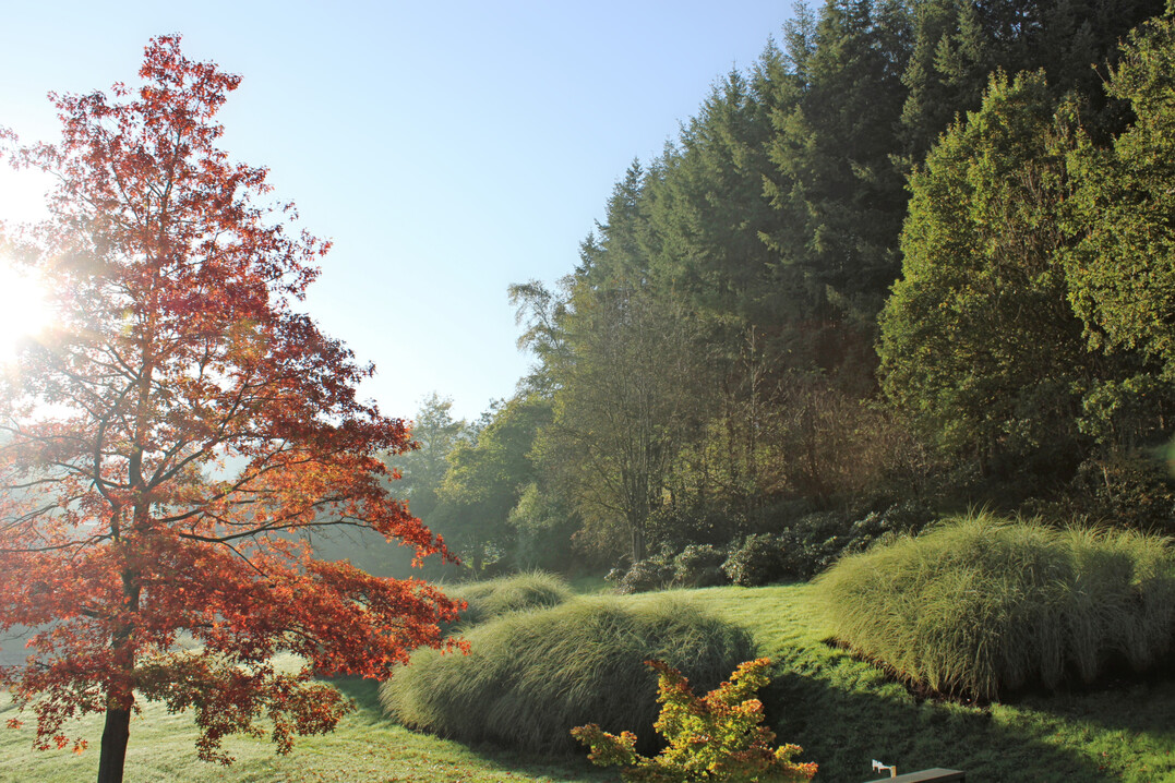 Klute Gärtner von Eden, Sundern