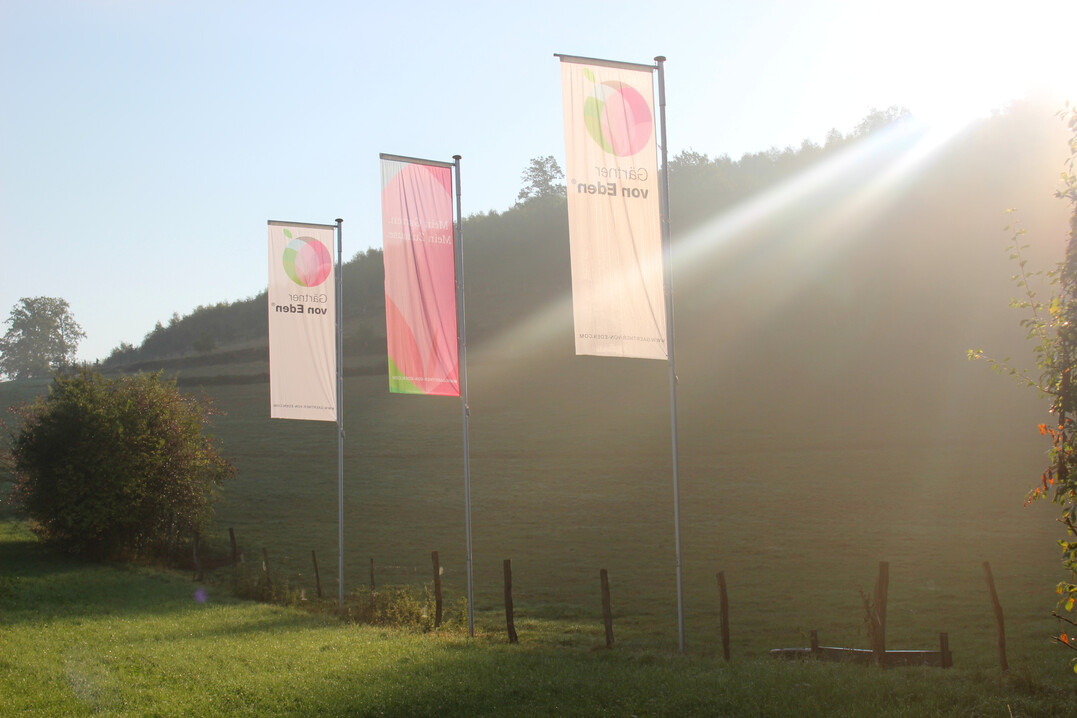 Klute Gärtner von Eden, Sundern