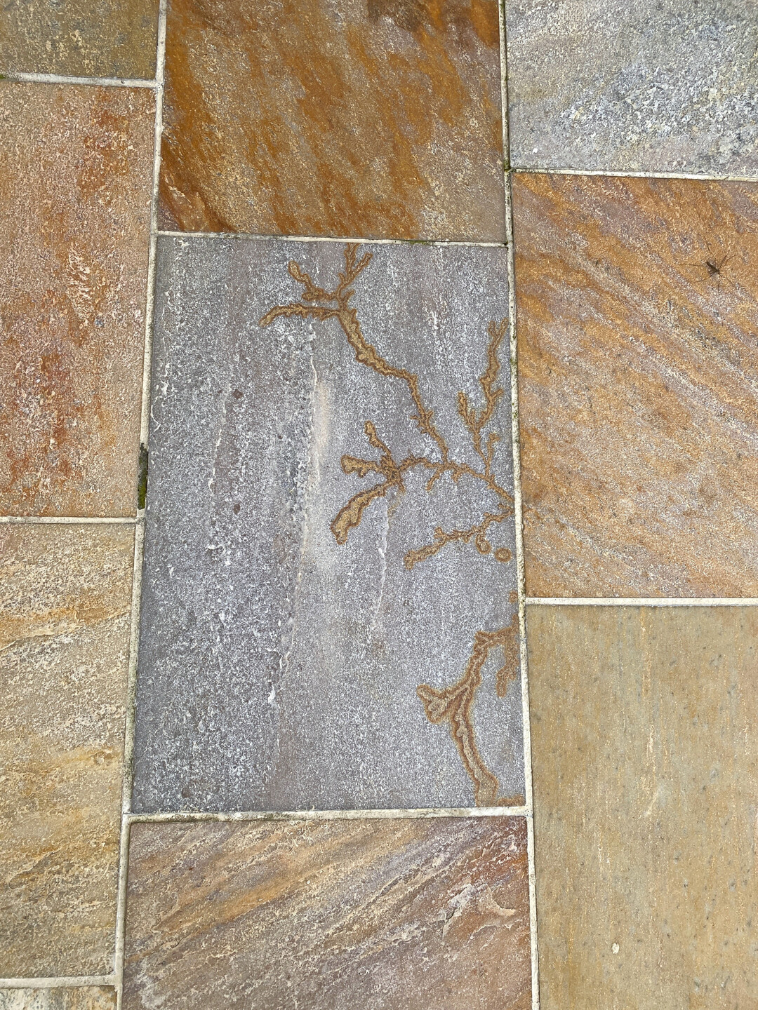 Wer den Kunden nicht explizit auf unvermeidbare Abweichungen hinweist, muss sich nicht wundern, wenn der Zahlungseingang ausbleibt. Denn nicht jedem gef�llt eine solche Laune der Natur.