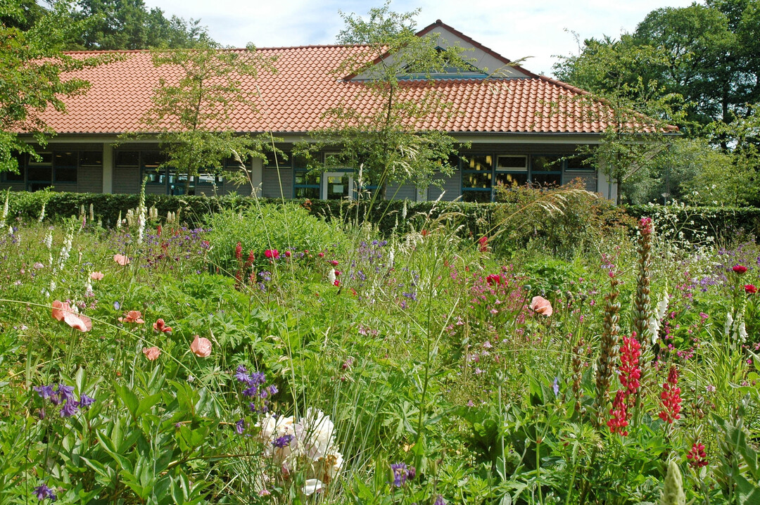 Auf dem Campus Haste lässt sich nicht nur gut studierten. Eine grüne Umgebung und eine gute Mensa machen das Campus-Leben attrakriv.