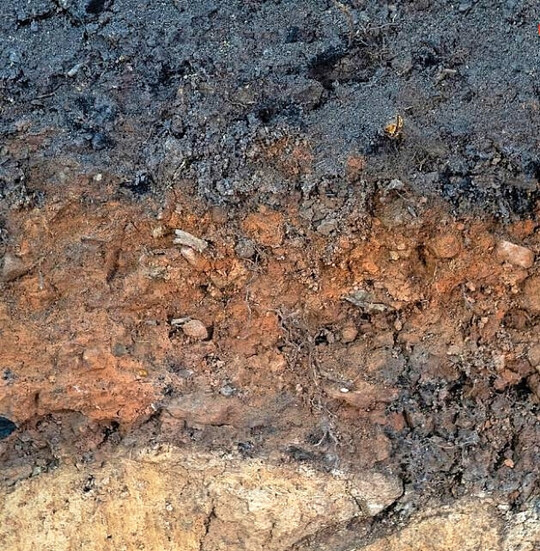 Kohlenmeilerboden unter einem frisch aufgesetzten Meiler zur Herstellung
von Holzkohle, ein Archivboden der Kulturgeschichte