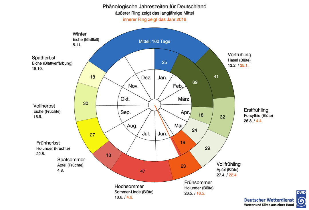 Abbildung 6: Phnologische Uhr 2018