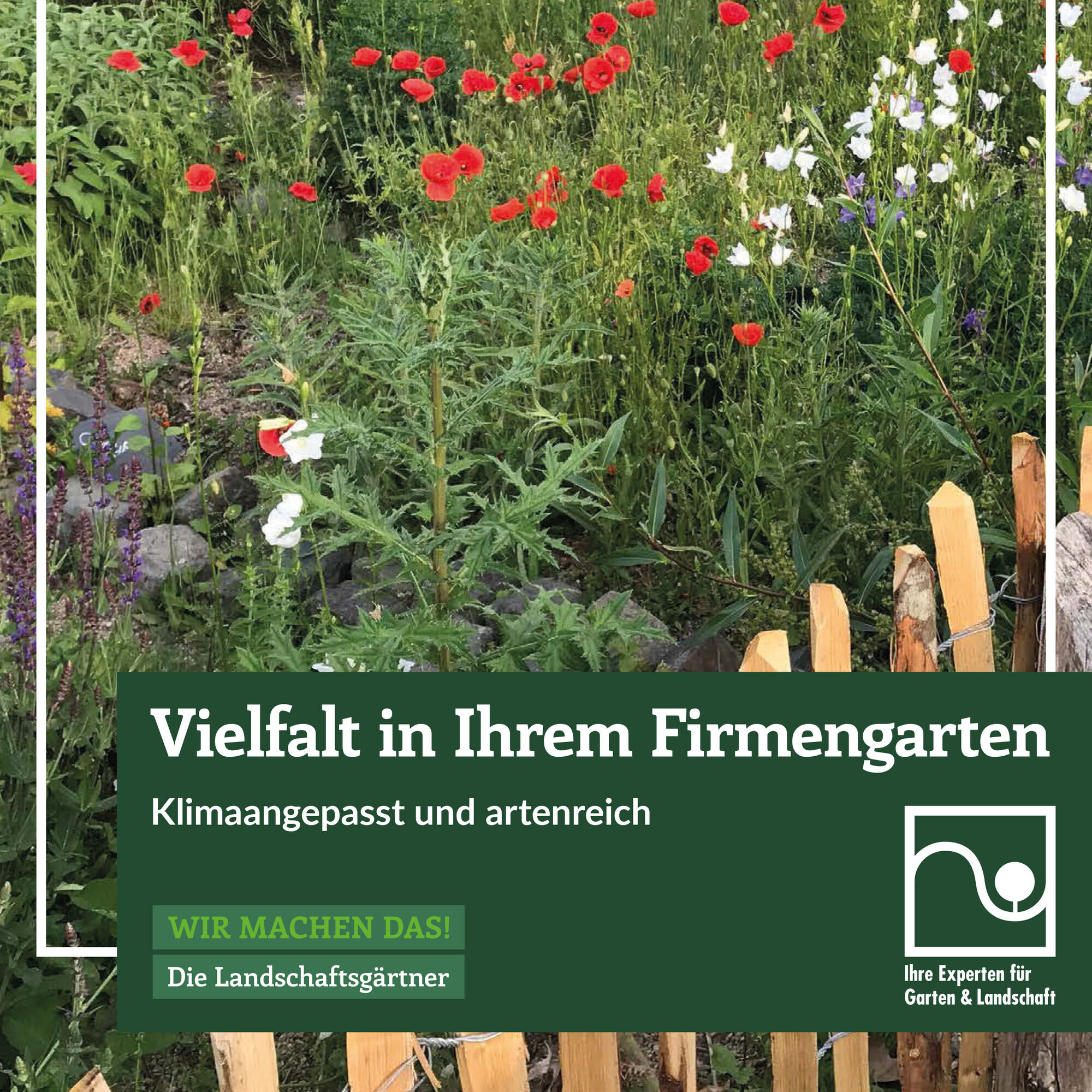 BGL veröffentlicht Broschüre zum naturnahen Firmengarten DEGA GALABAU