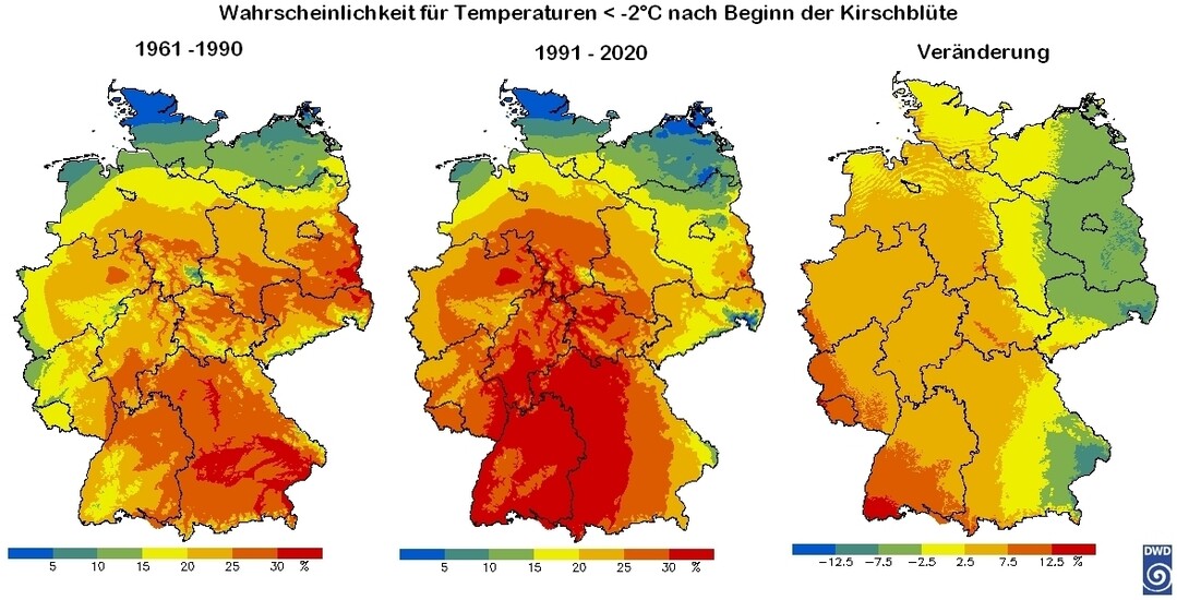 Spätfrostwahrscheinlichkeit Kirschblüte