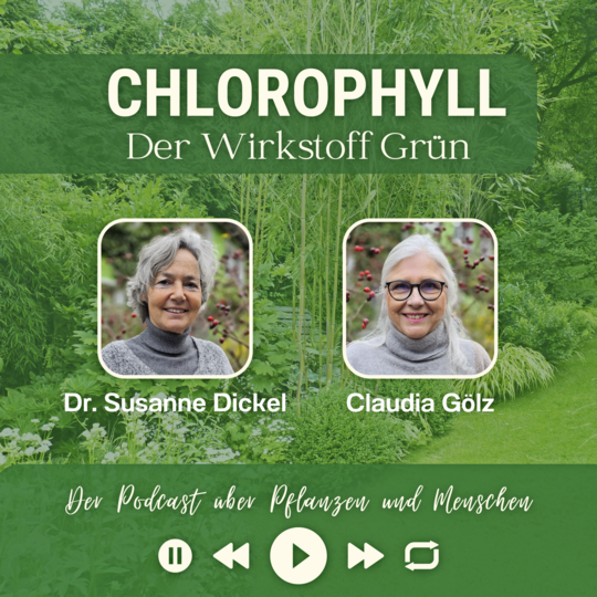 Podcast Chlorphyll