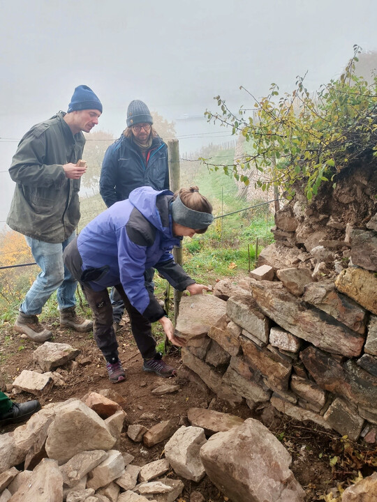 Kursleiter und Studierende in Aktion beim Aufbau - hier die Reparatur einer kleineren Mauer am ersten Tag