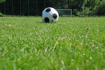 Platzwart im Fu�ball