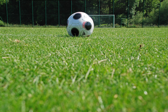 Platzwart im Fu�ball