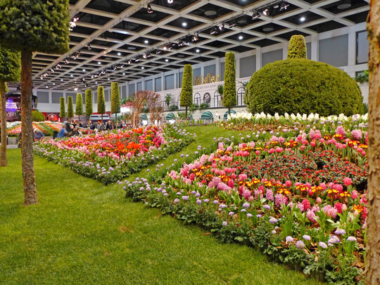 Blumenhalle der Gr�nen Woche 2026