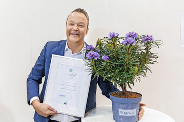 Sebastian Heinje (Diderk Heinje Pflanzenhandels GmbH) mit dem Rhododendron �Grazeasy Purple�