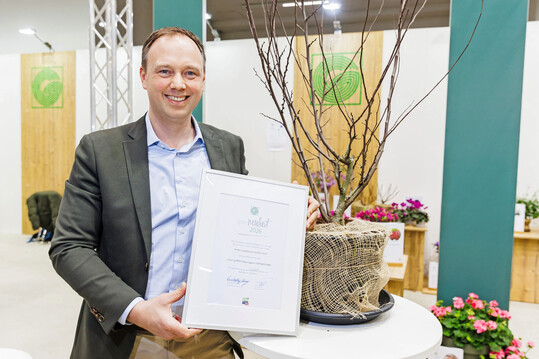 Christian Kordes (Kordes Jungpflanzen Handels GmbH) pr�sentiert die Cercis griffithii "Blue Lagoon".