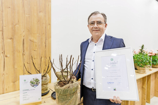 Pat Fitzgerald (Fitzgerald Nurseries Ltd.) mit dem kompakten Ficus carica "Fignomenal"