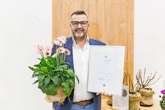 Stein Schouten (HilverdaFlorist) zeigt die Garden Gerbera "Garvinea Sweet Pastry".