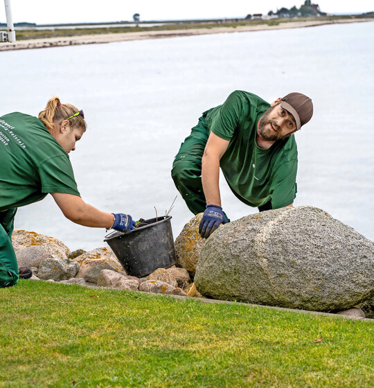 Grünpflege am Wasser – beim GrünWert-Partner in Kiel keine Seltenheit