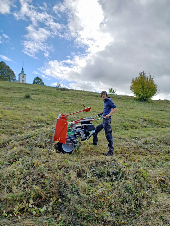 Abräumen des Mähgutes in Hanglage mittels Bandschwader an einem Einachsgeräteträger