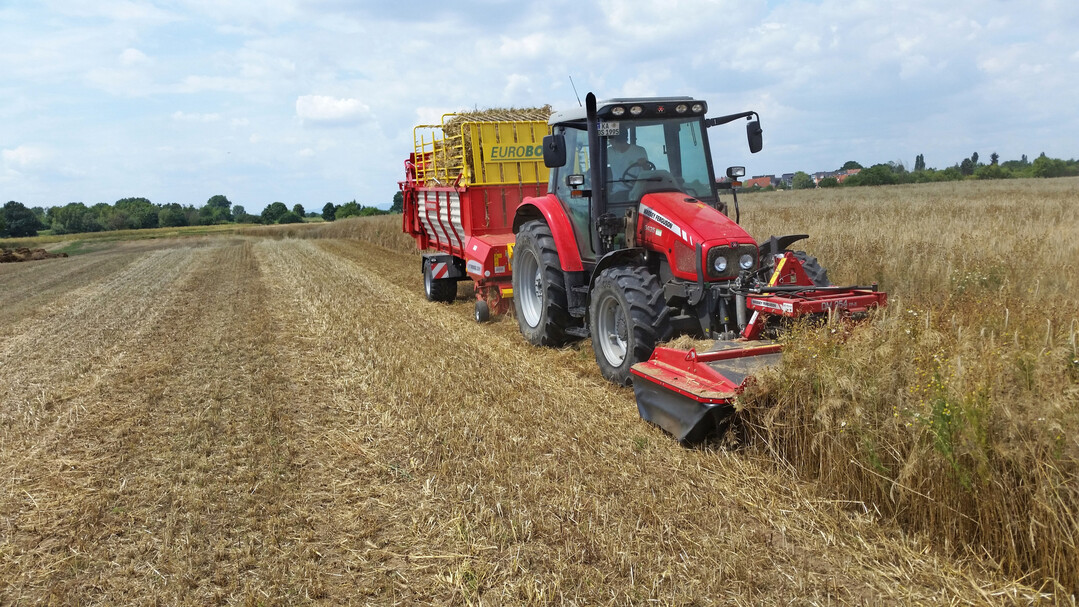 Mahd eines Extensivackers als Vorbereitung für eine Mähgutübertragung